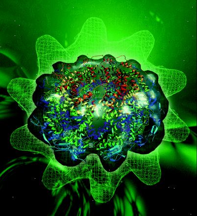 RS-virus (rs-virus). mitkä ovat oireet? RS-virus (rs-virus). mitkä ovat oireet?