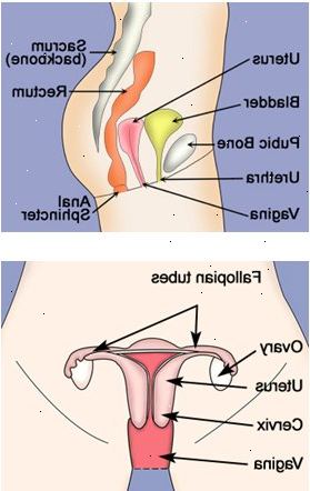 Laparoscopy ja väriaine. jälkeen andndash; sairaalassa. Laparoscopy ja väriaine. jälkeen andndash; sairaalassa.